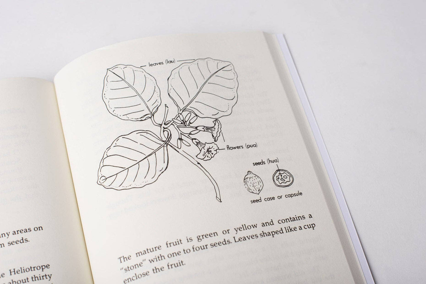 Plants of Old Hawaii