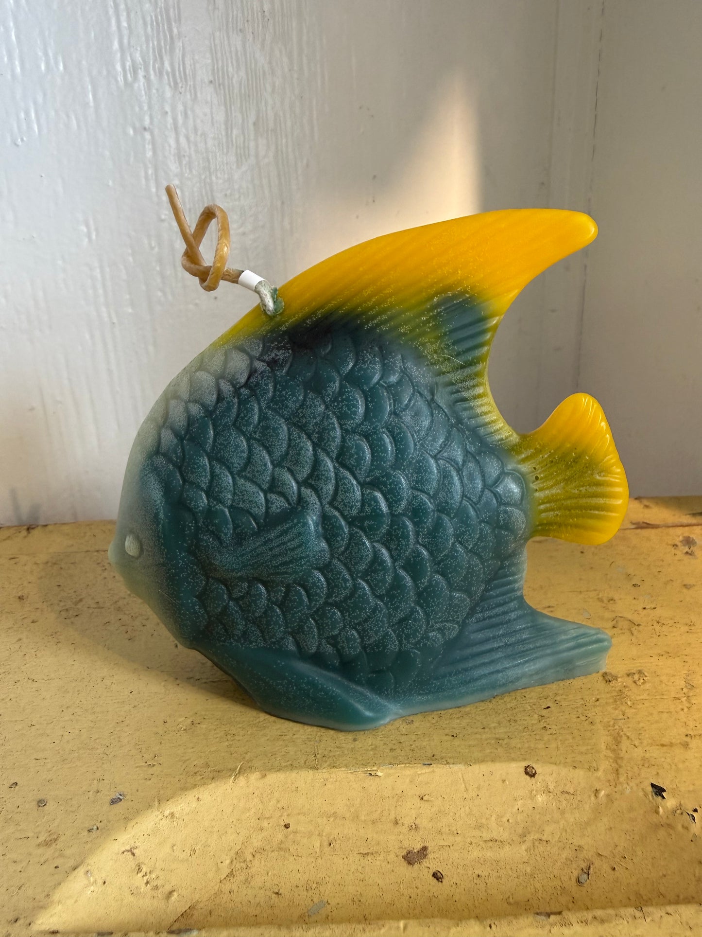 Tropical Fish