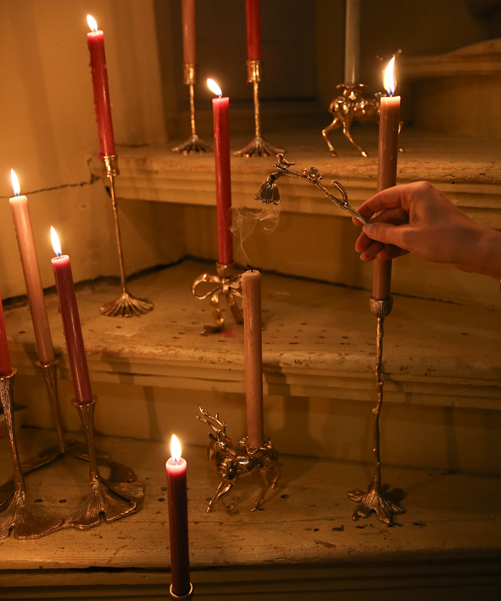 Chirpy Candle Snuffer