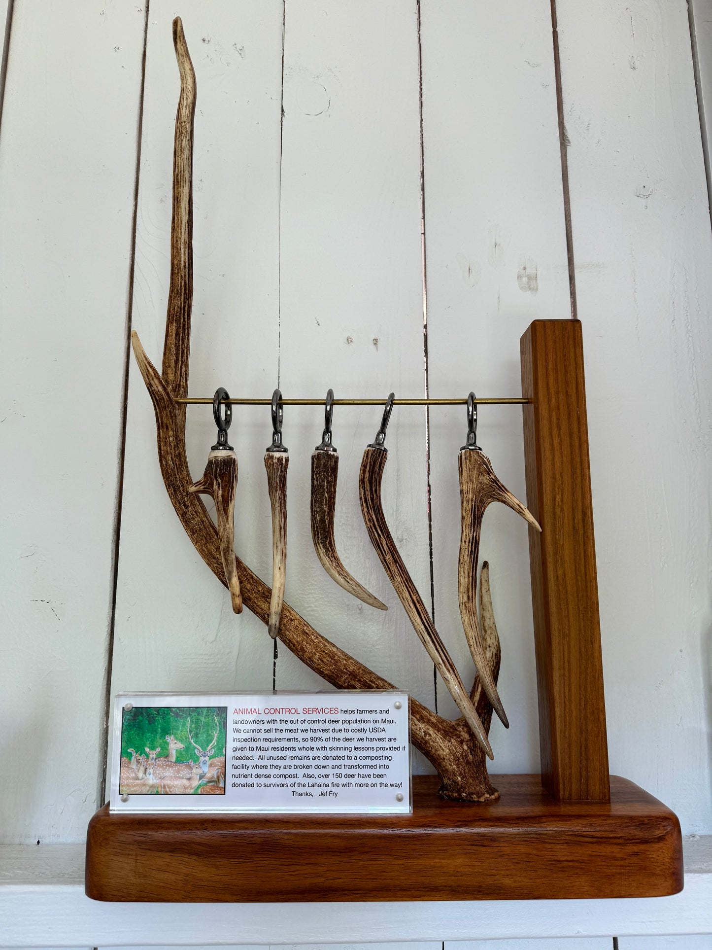 Maui Deer Antler Openers
