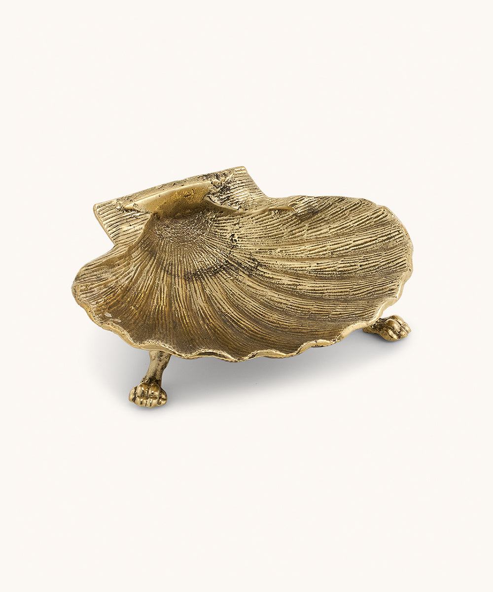 Shell Plate Large
