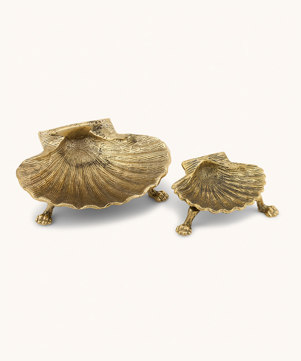 Shell Plate Large