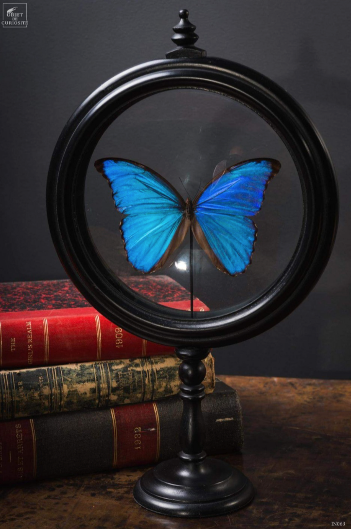 Papillon BLUE DANS glass stand