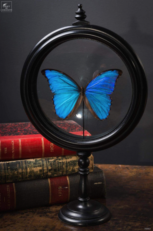 Papillon BLUE DANS glass stand