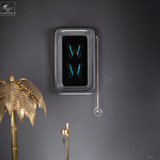 Papillon ORIIBAZUS in a black frame/ magnifying glass on chain