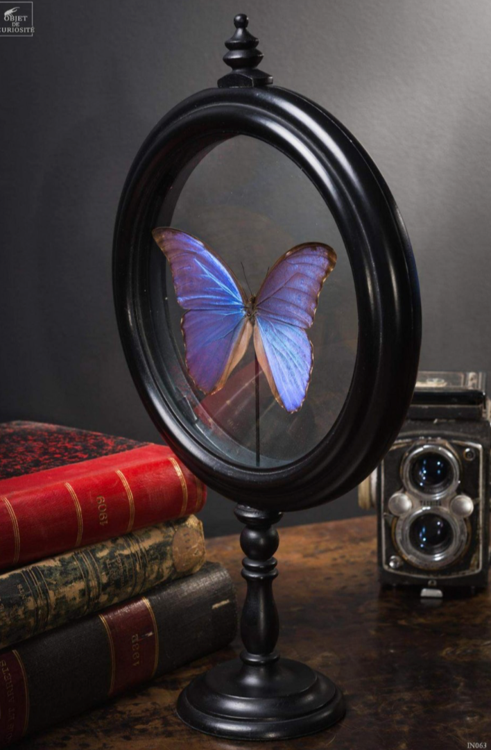 Papillon BLUE DANS glass stand