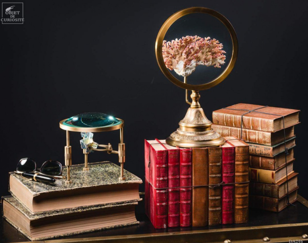 Loupe avec Magnifying Glass on Stand with Bismuth