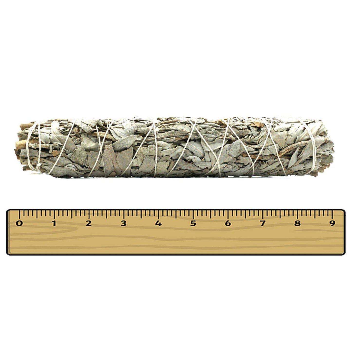9 inch White Sage Bundles (Large)