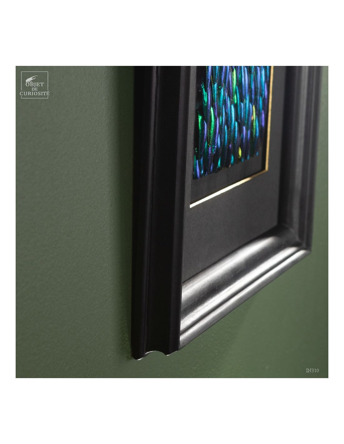 Jewel Green Beetle wings in rectangular frame