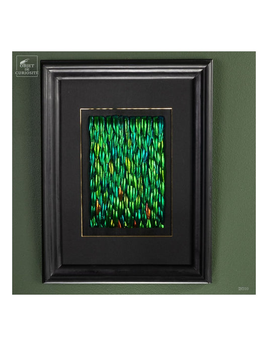 Jewel Green Beetle wings in rectangular frame
