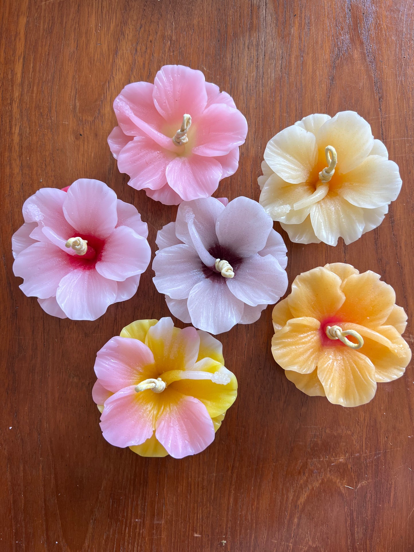 Hibiscus