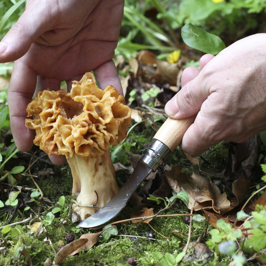 Opinel No. 8 Mushroom Knife + Brush