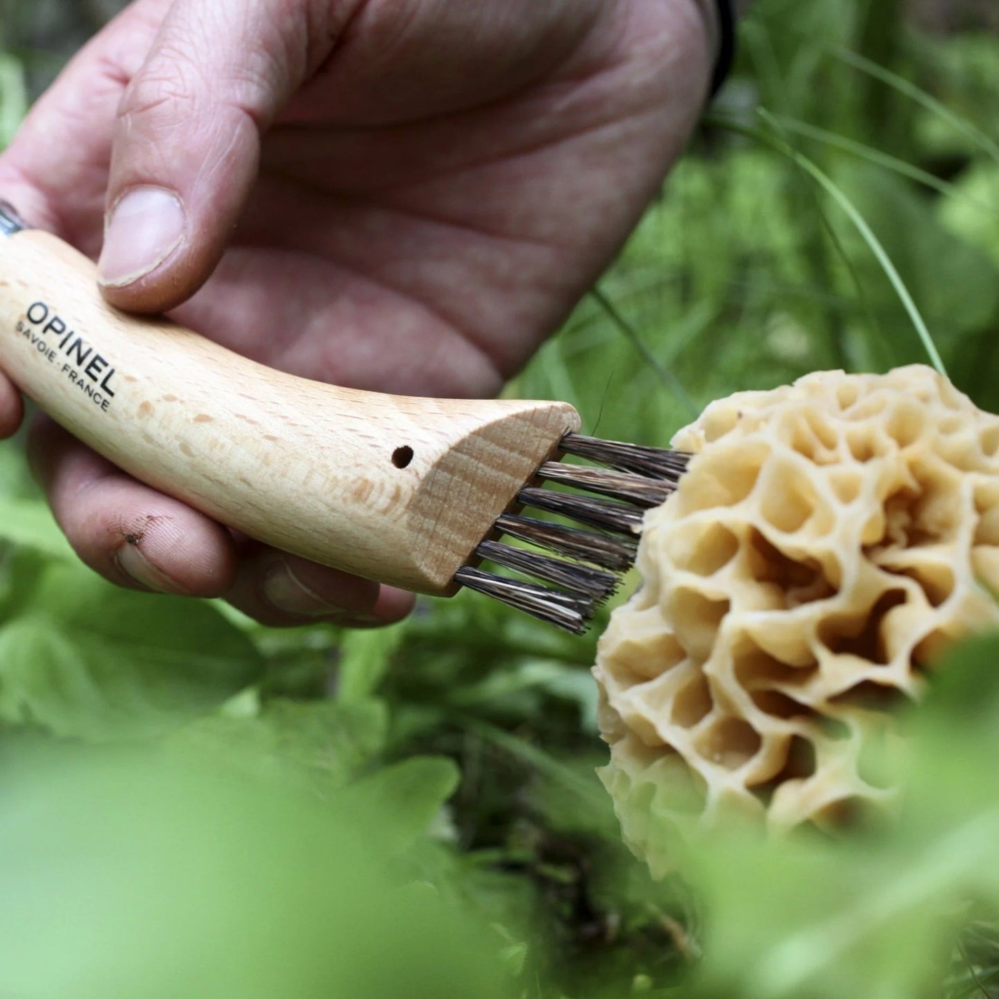 Opinel No. 8 Mushroom Knife + Brush