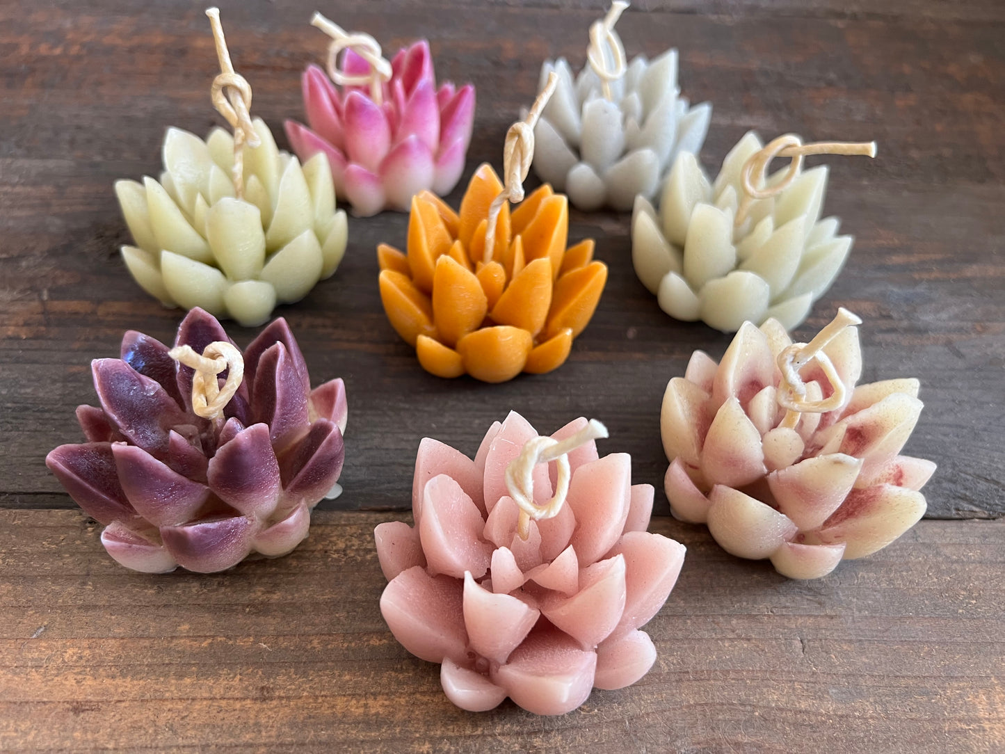 Lotus