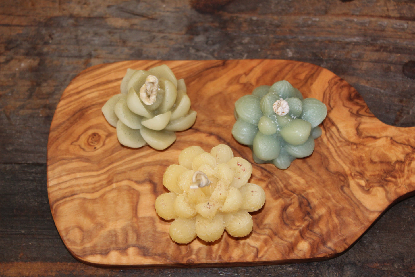 Succulent Candles