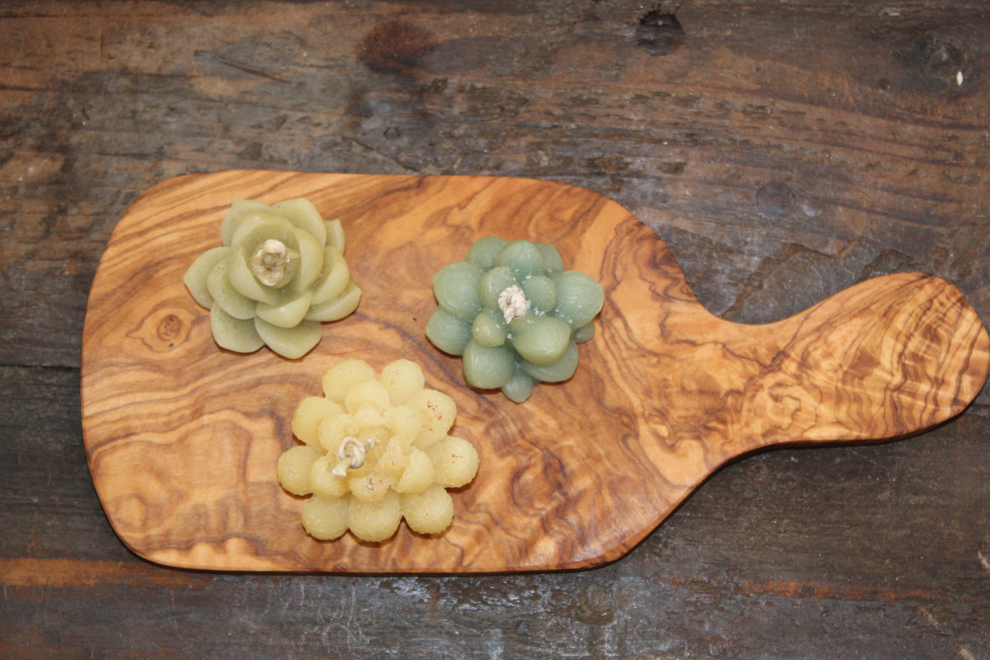 Succulent Candles