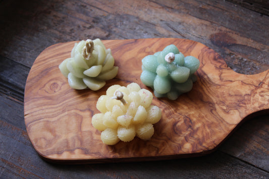 Succulent Candles