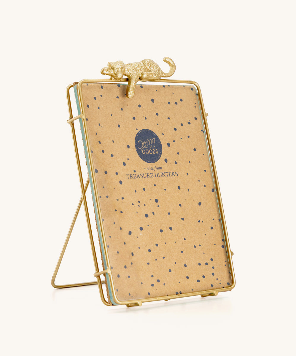 Leopard Frame