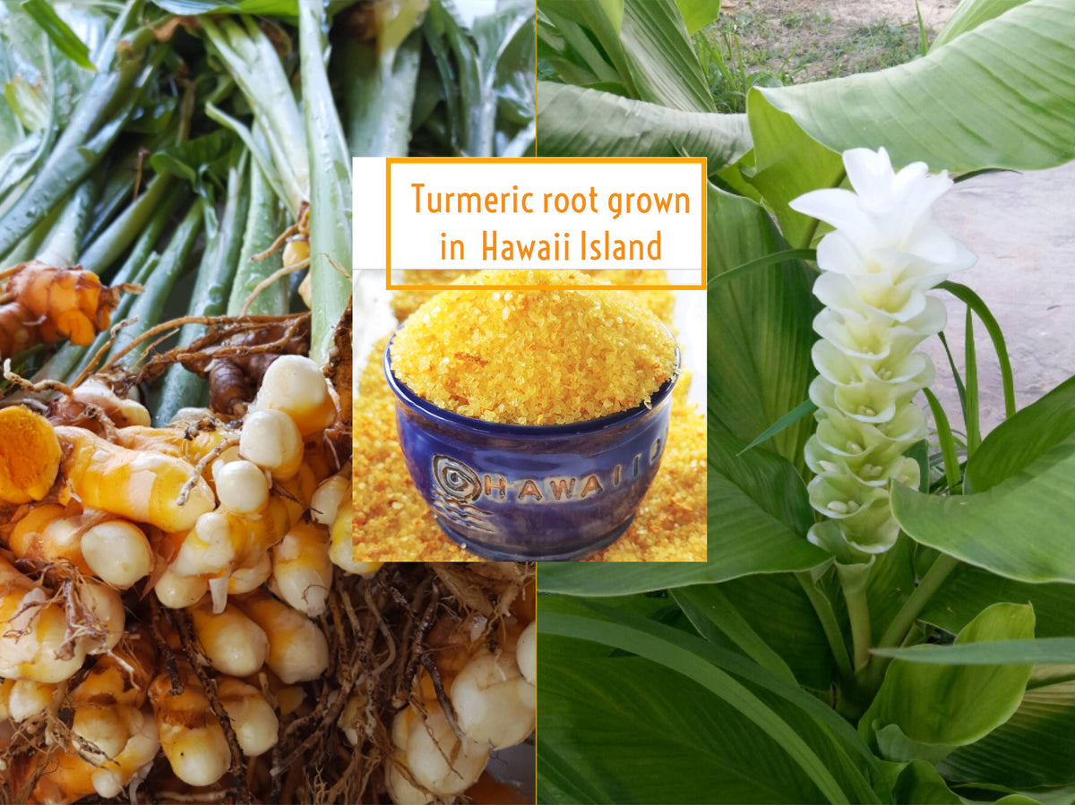 Hawaiian Olena Sea Salt