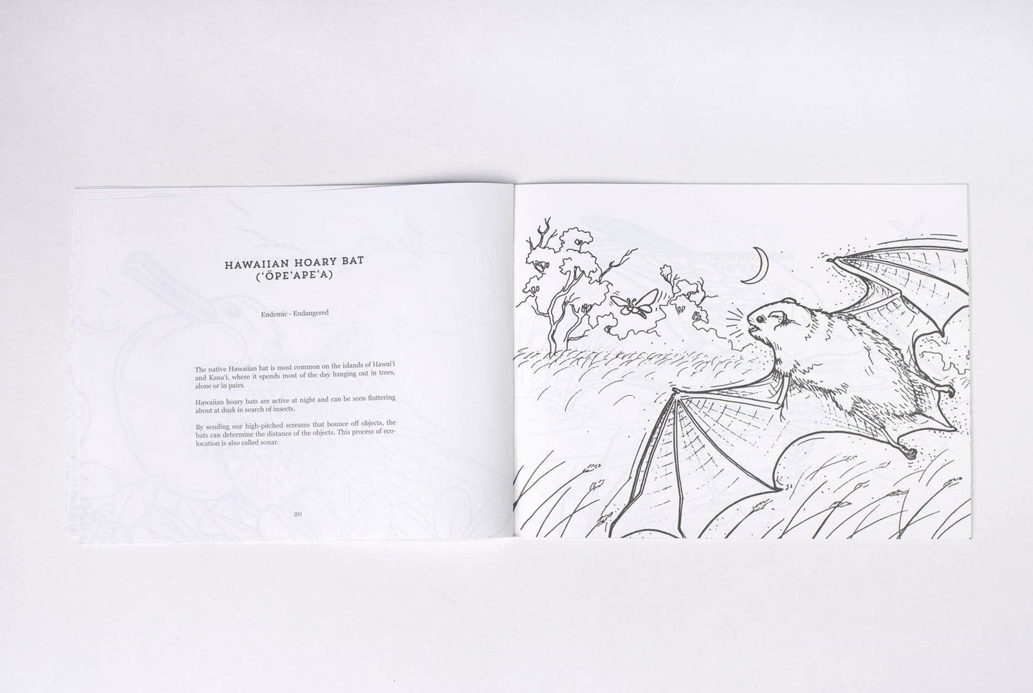 Native Animals of Hawaiʻi Coloring Book