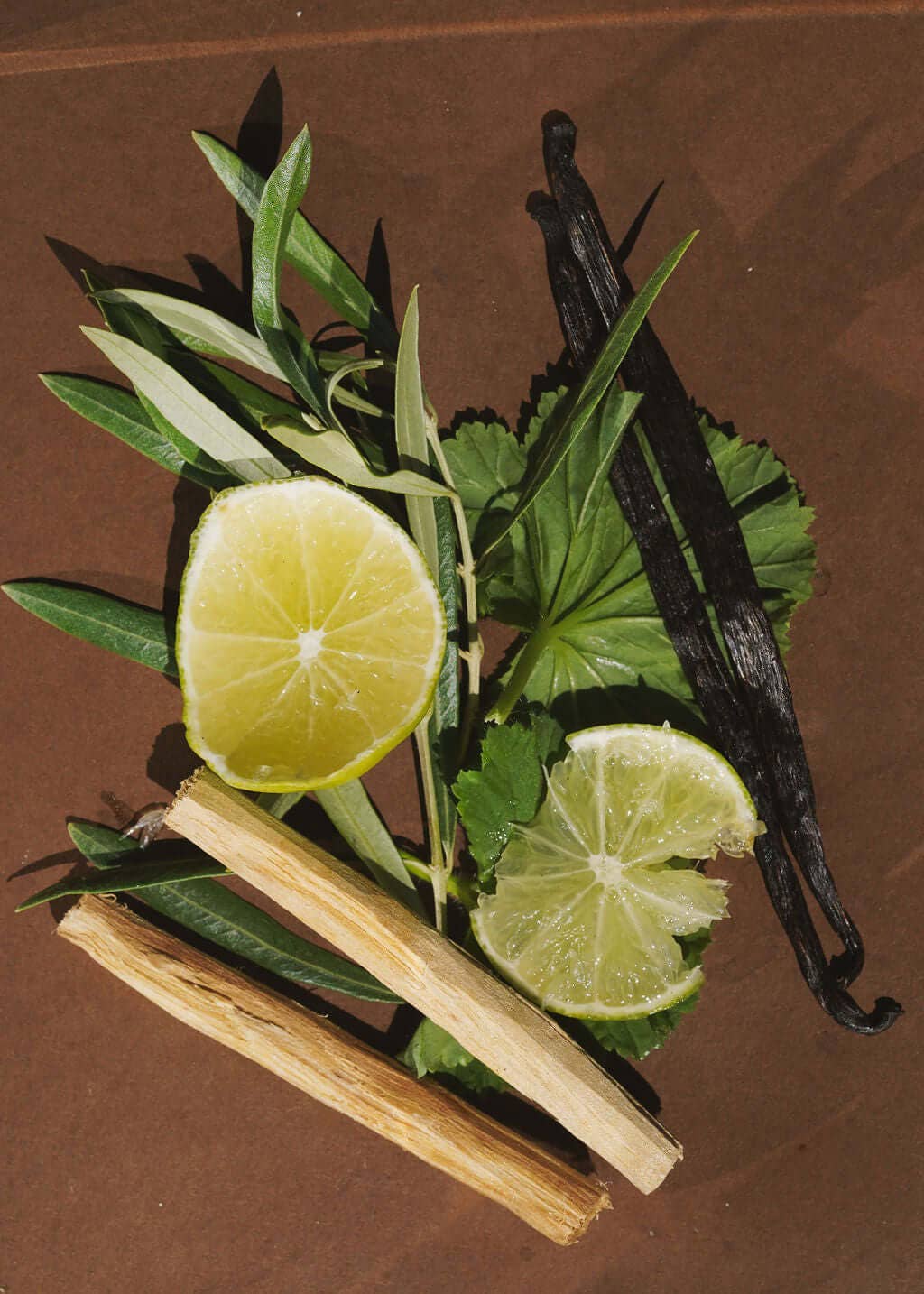 RANCHO BOMBRO Body Oil