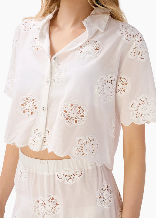 Xana Cotton Crop top Macadamia