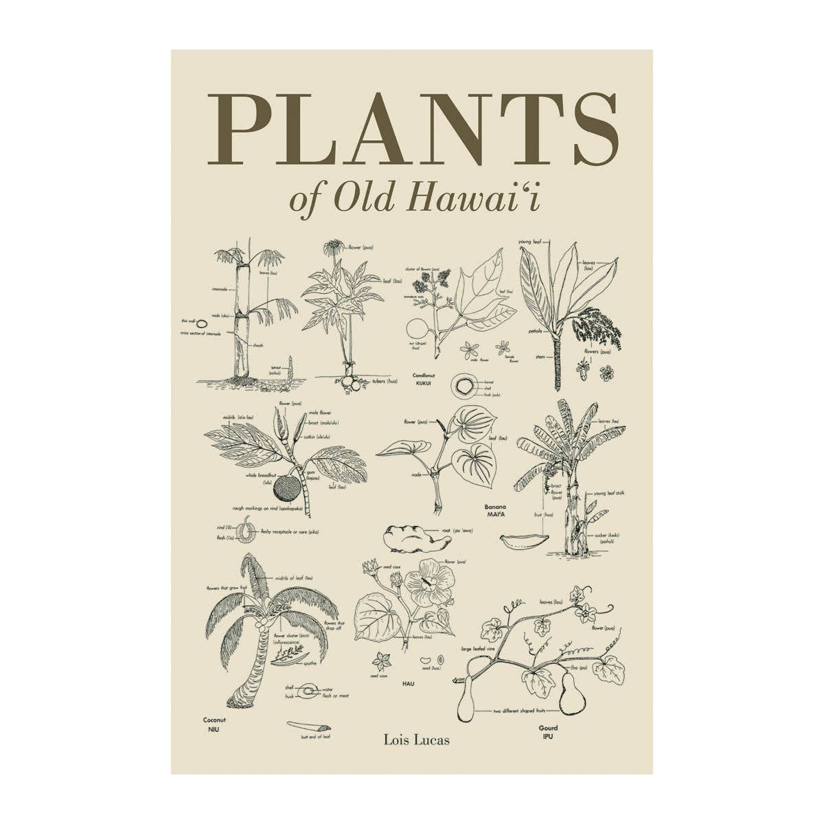 Plants of Old Hawaii