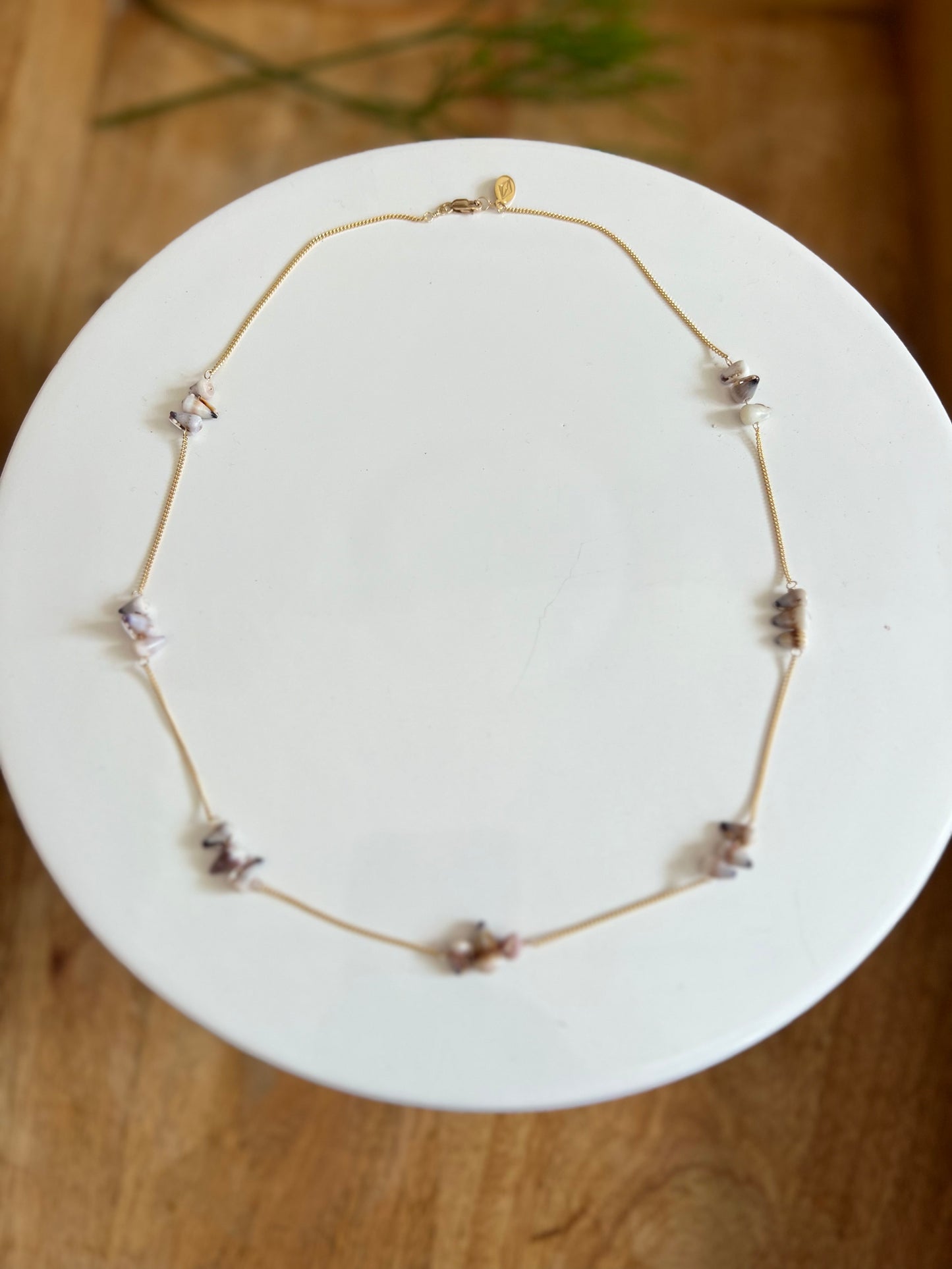 Dahlia necklace with mini cone shell