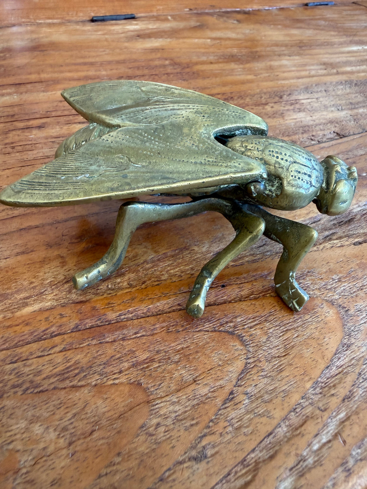 VNTG Brass Fly Objet