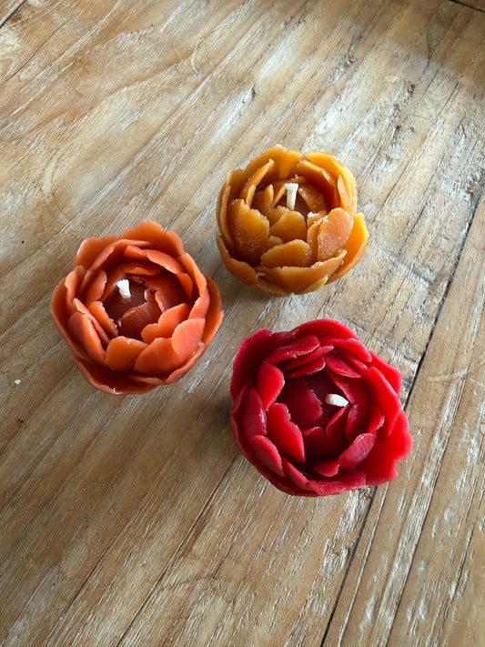 Rosebud