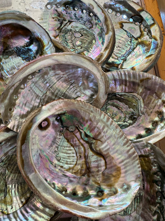Abalone Shell Smudge Bowls