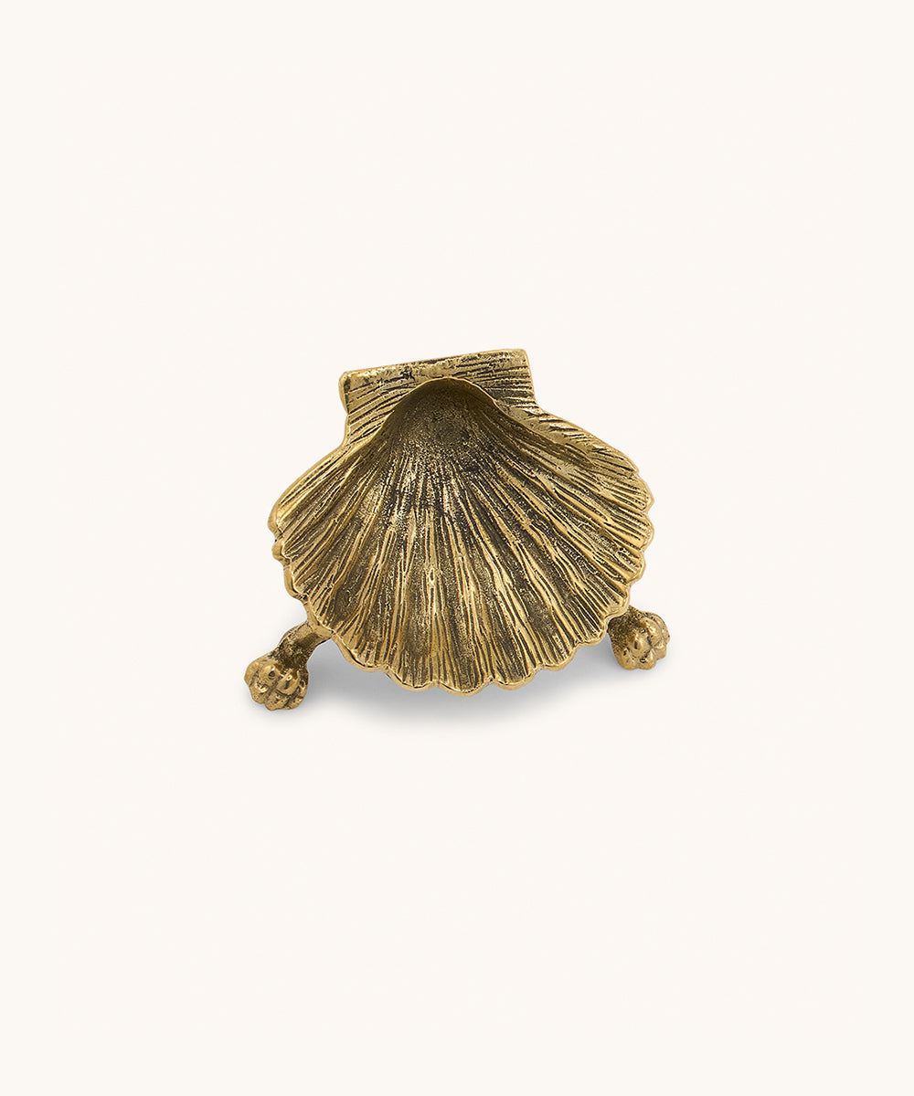 Shell Plate Small