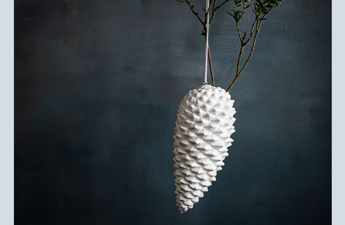 Pinecone hanging vase